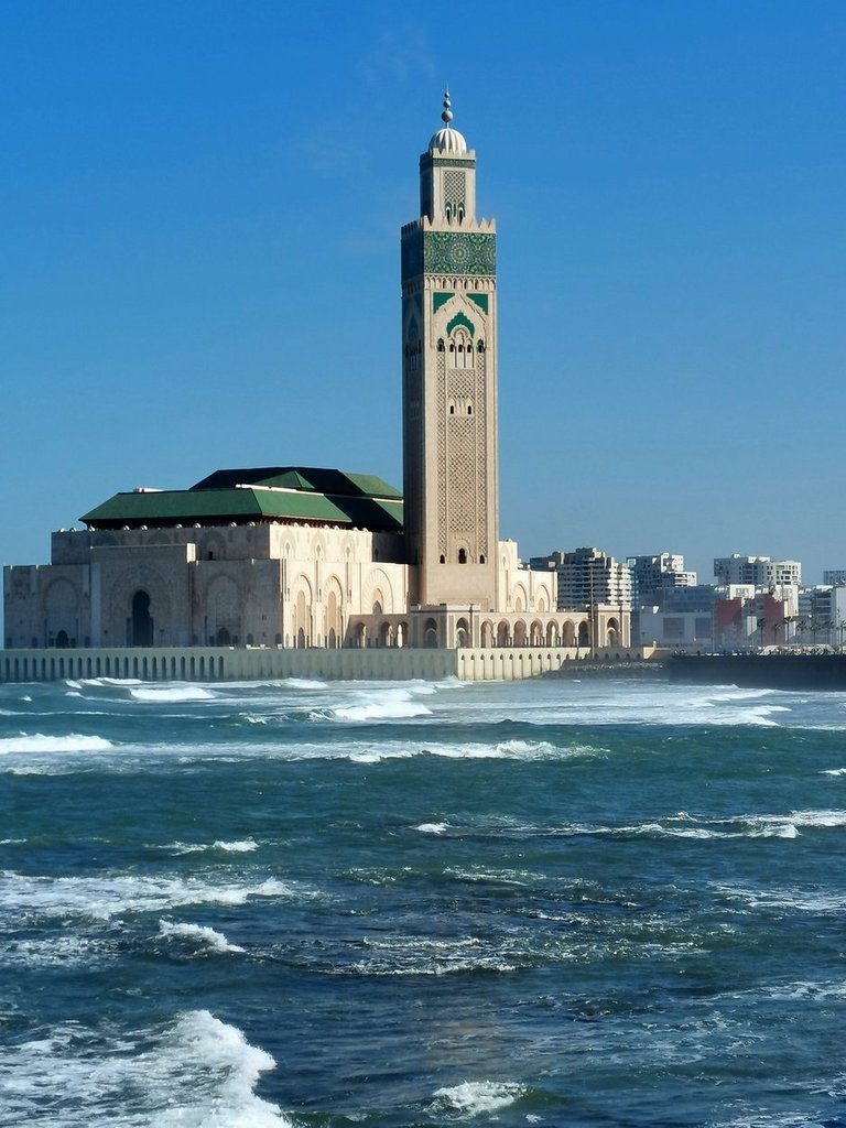 d casablanca (2).jpg