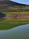 r barrage di  (19).jpg