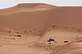 b tuareg rally - grande duna (14).JPG