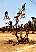 marocco012.jpg