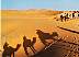marocco037.jpg