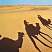 marocco038.jpg