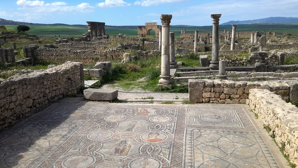 c volubilis (15).jpg