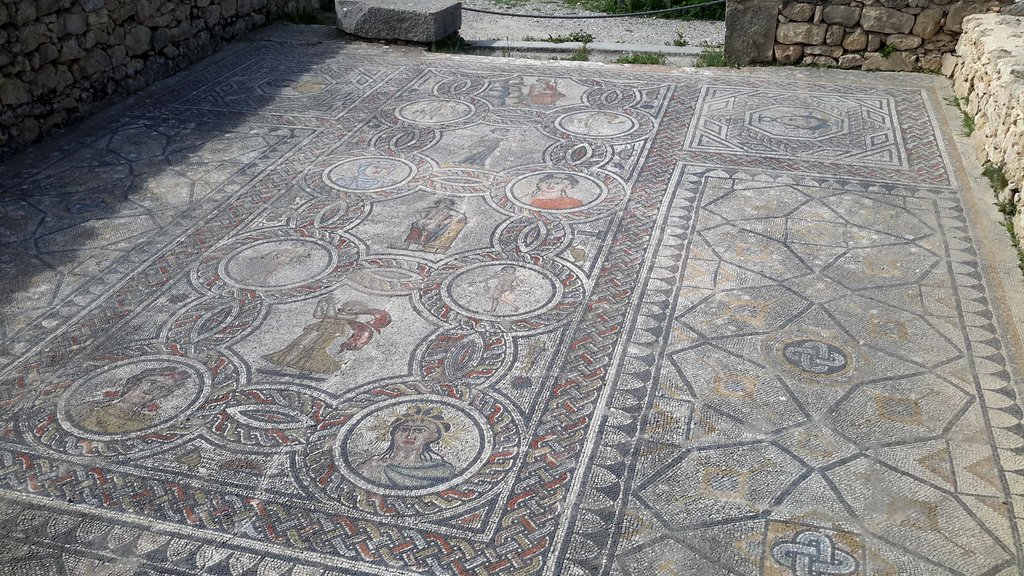 c volubilis (16).jpg