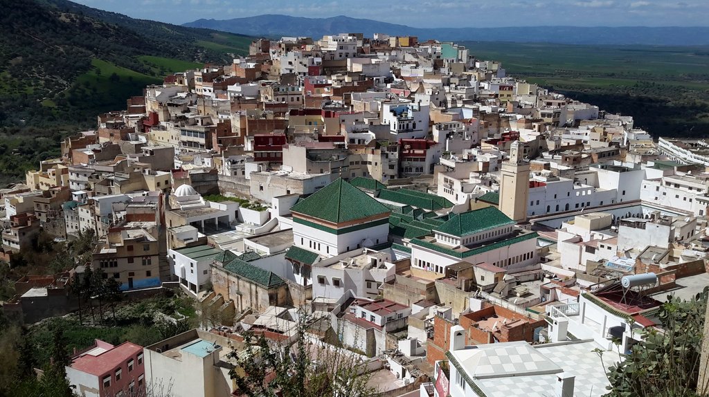 d moulai idriss (1).jpg