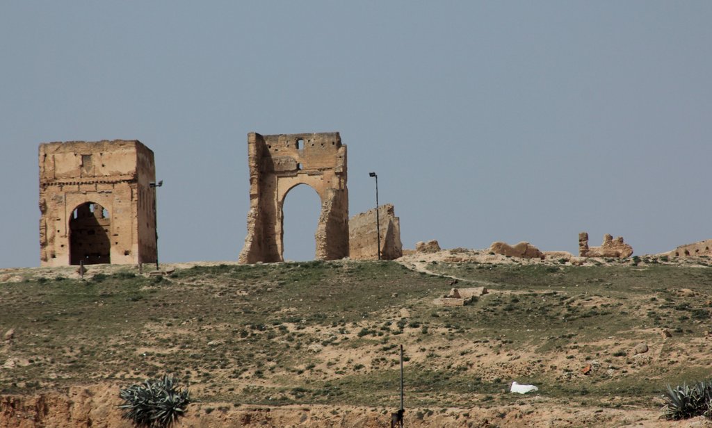 fez IMG_8739 (9).JPG