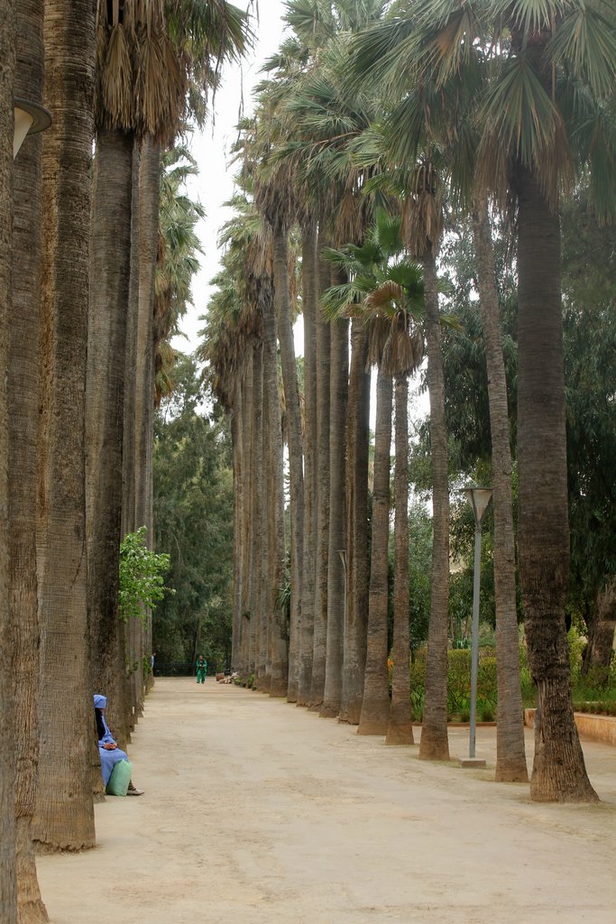 fez parco jane sbil (3).JPG