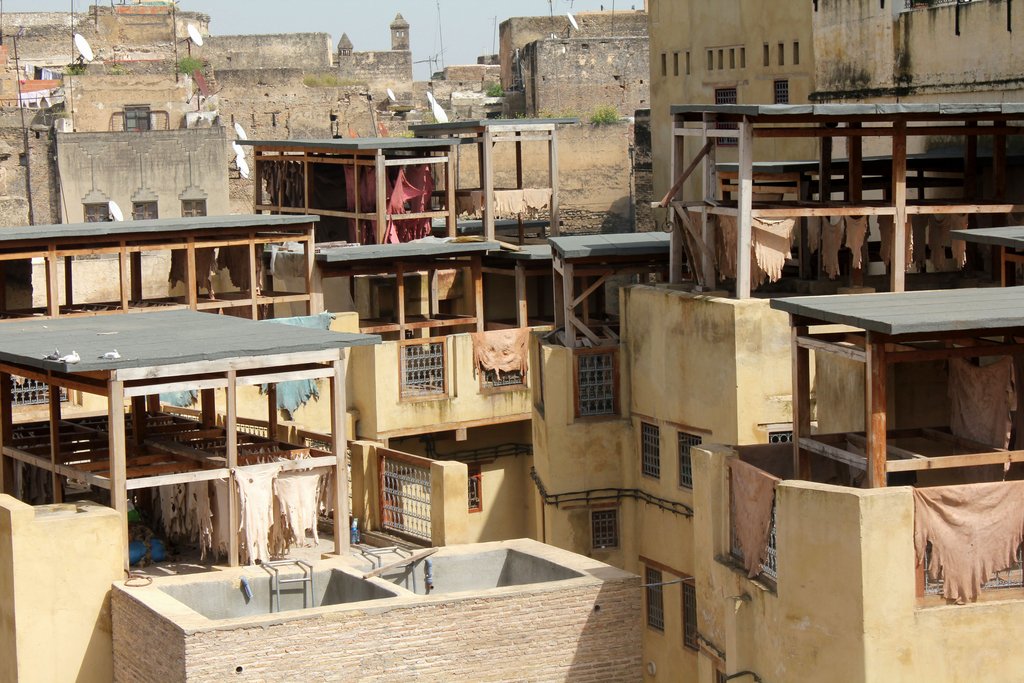 fez tintoria (0).JPG