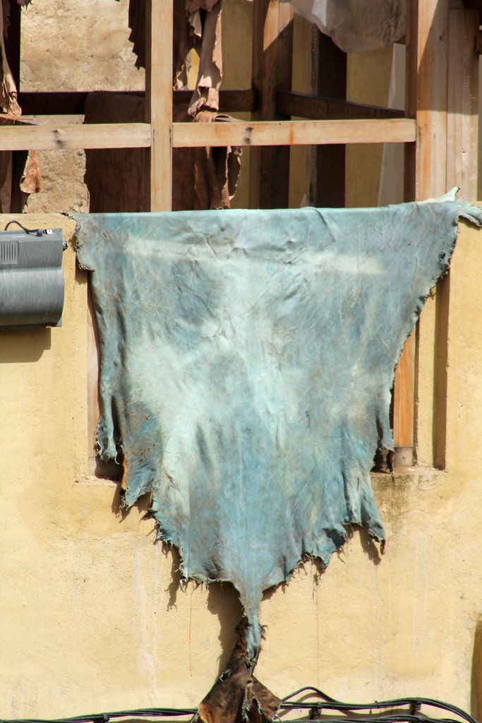 fez tintoria (6).JPG