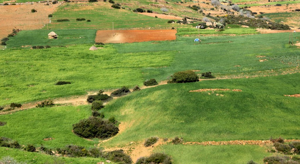zona ketama (6).JPG