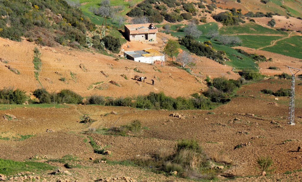 zona ketama (7).JPG