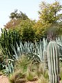 fez giardini (4).JPG