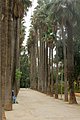 fez parco jane sbil (3).JPG