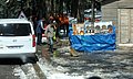 marocco bosco cedri (6).JPG