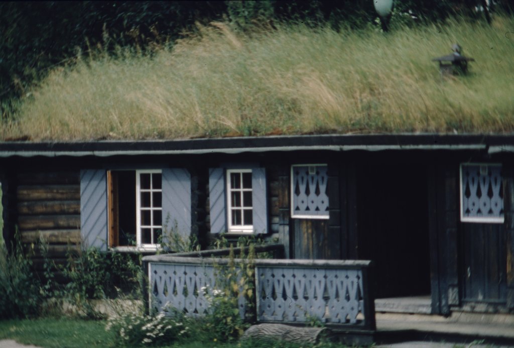nor (113).jpg