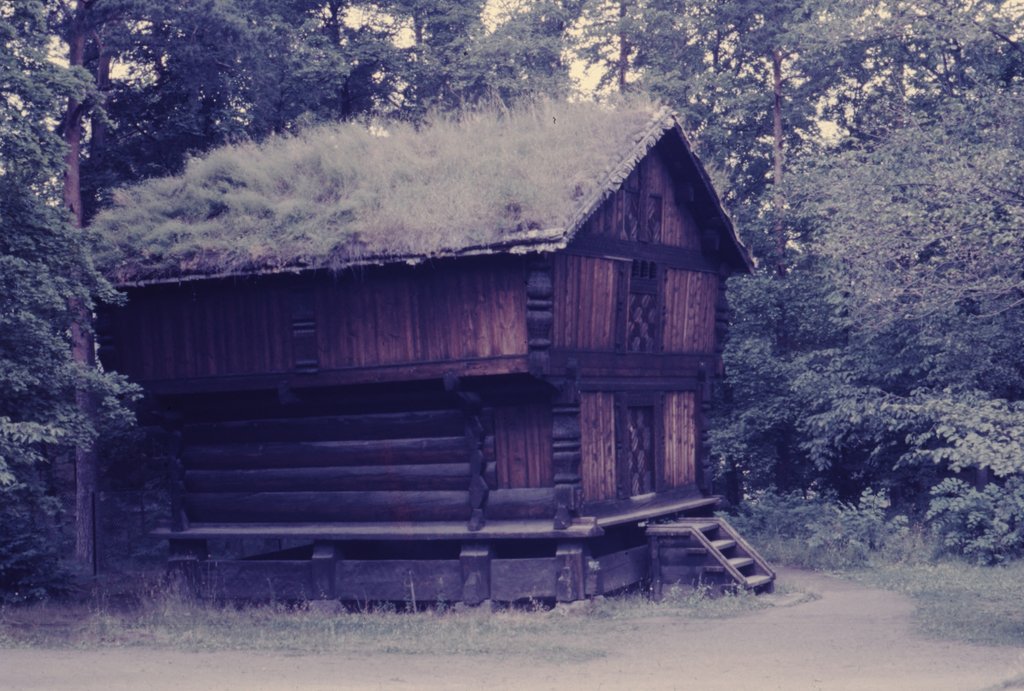 nor (114).jpg
