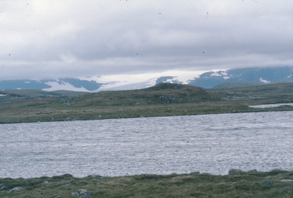 nor (12).jpg