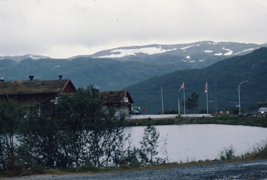nor (143).jpg