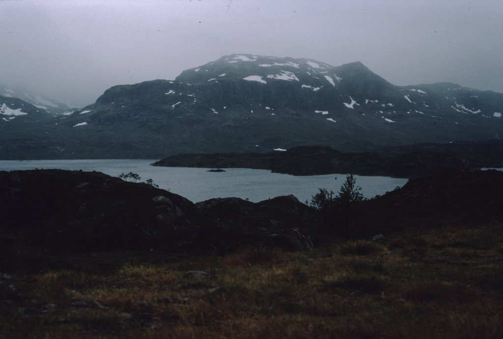 nor (145).jpg