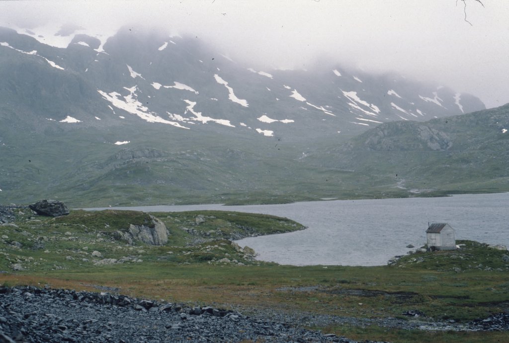 nor (147).jpg
