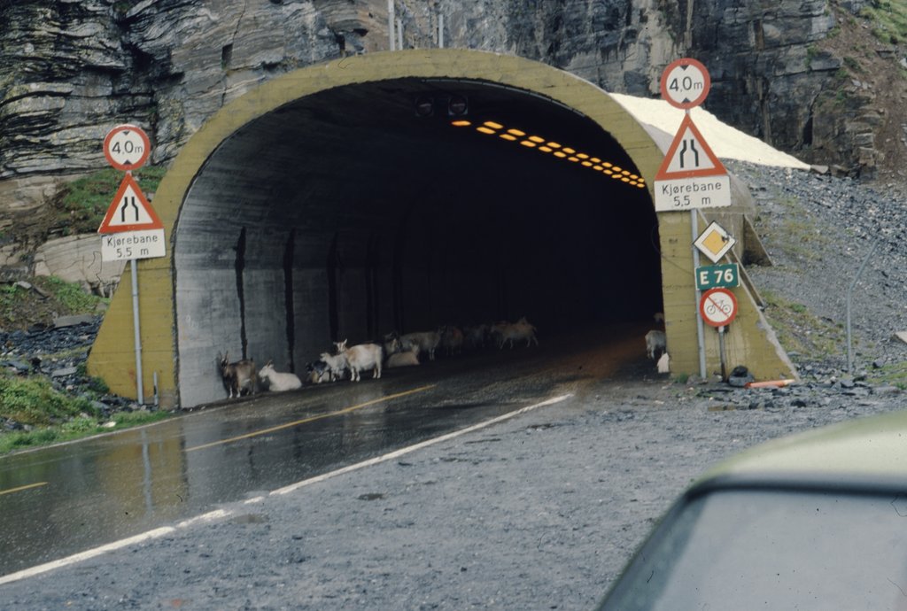 nor (148).jpg