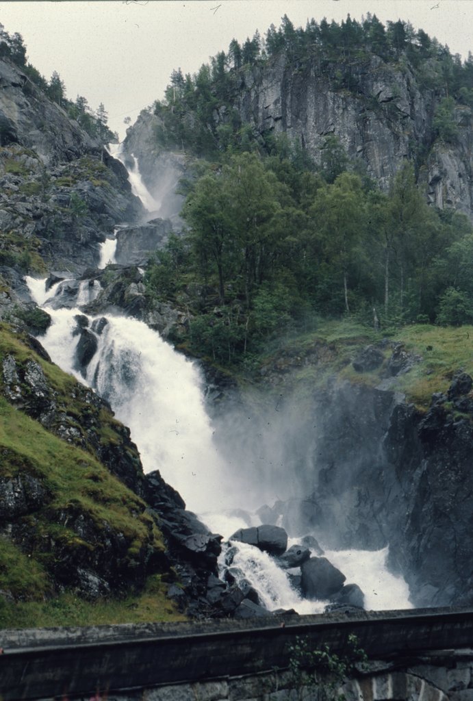 nor (152).jpg