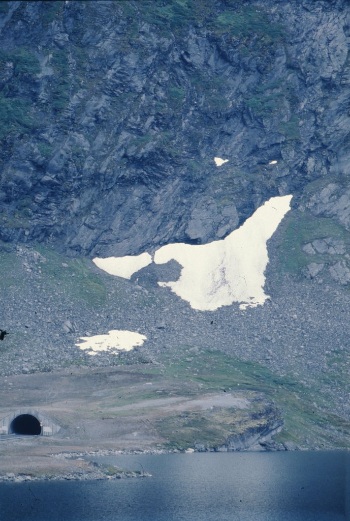 nor (160).jpg