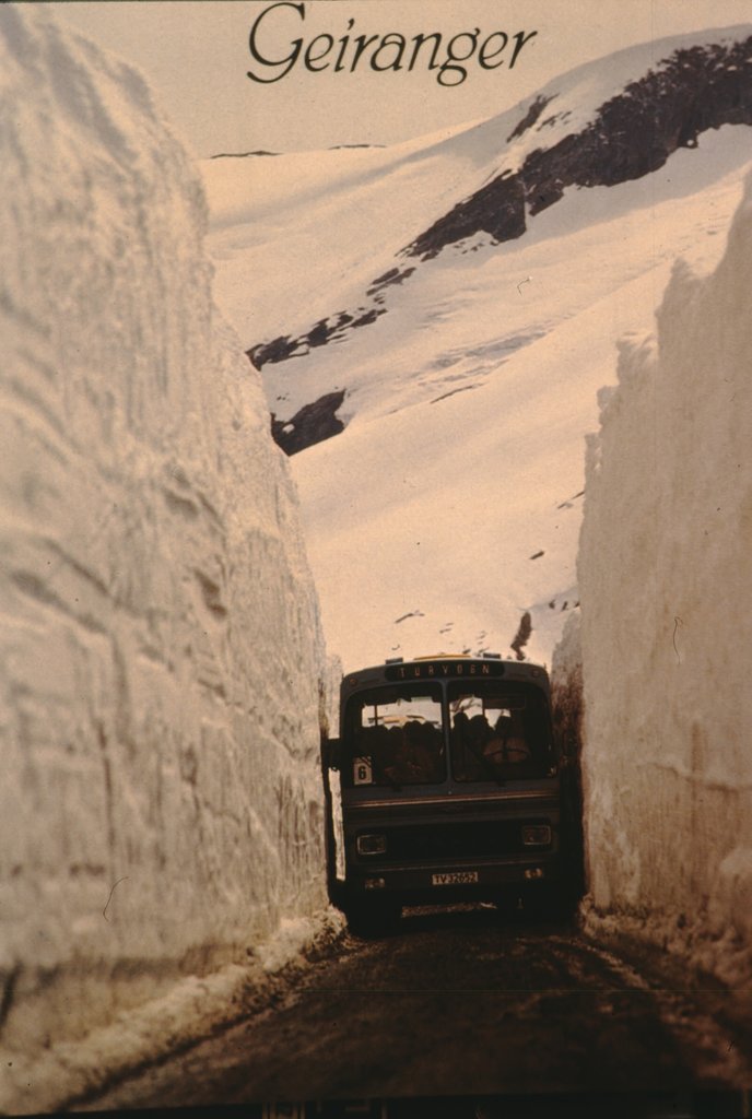 nor (165).jpg