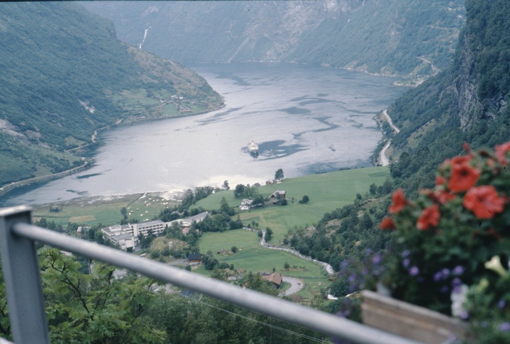 nor (166).jpg