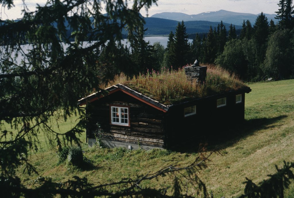 nor (176).jpg