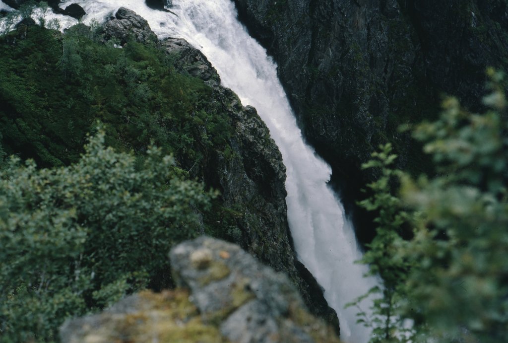 nor (49).jpg