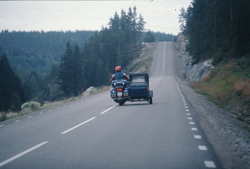 swe (18).jpg