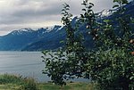 nor (156).jpg