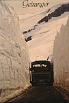 nor (165).jpg