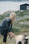 nor (61).jpg