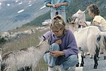 nor (62).jpg