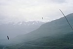 nor (69).jpg