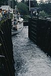 swe (23).jpg