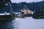swe (31).jpg