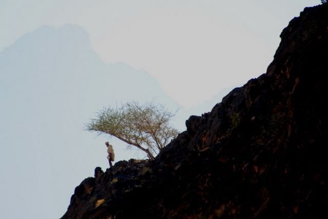 z14_wadi bani awf-snake_canyon (4).jpg
