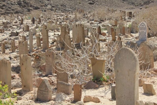 z23_mirbat___bin_ali (2).jpg