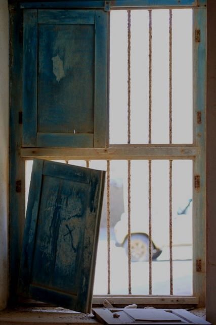 z25_mirbat (15).jpg