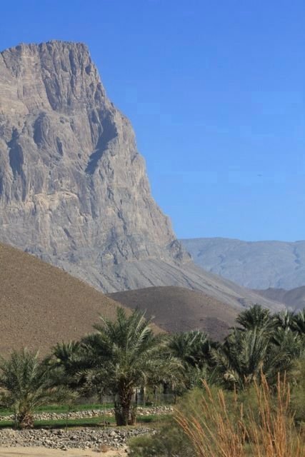 z6_al_ayn (1).jpg