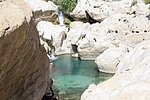 l_wadi_bani_khalid_ (2).jpg