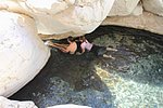 l_wadi_bani_khalid_ (5).jpg