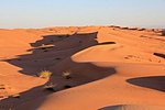 m_wahiba_sands (11).jpg