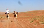 m_wahiba_sands (2).jpg