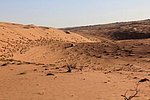 m_wahiba_sands (4).jpg