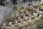 q0_sayq_plateau-al_manakir__5 (1).jpg