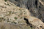 r_sayq_plateau - al_ayn (3).jpg